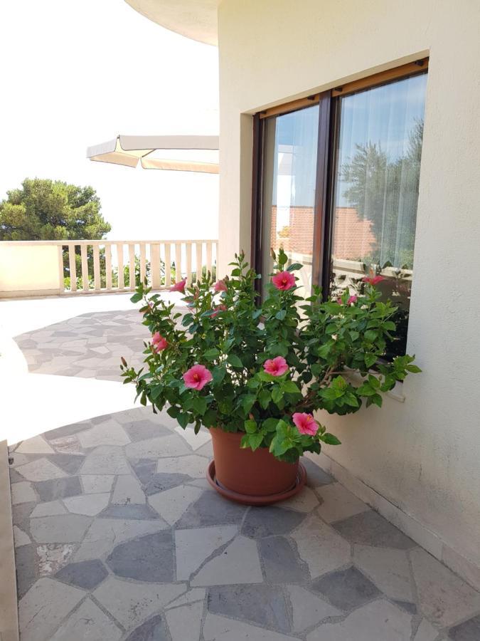 Mira & Nikola Apartmán Baska Voda